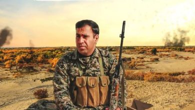 آرامش سید مجتبی